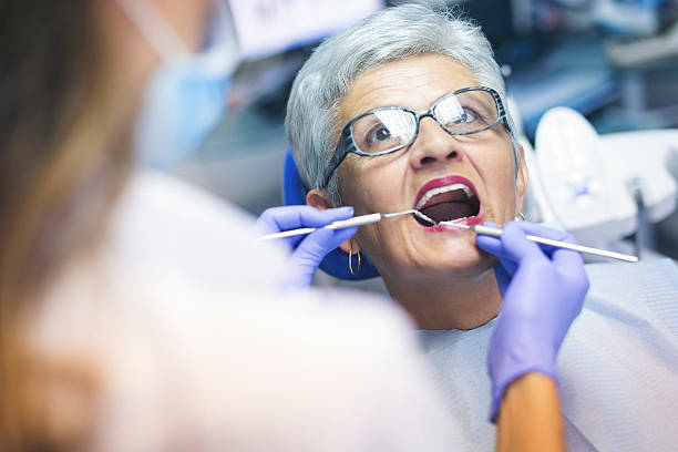 Barberton, WA Holistic Dental Care Services Company